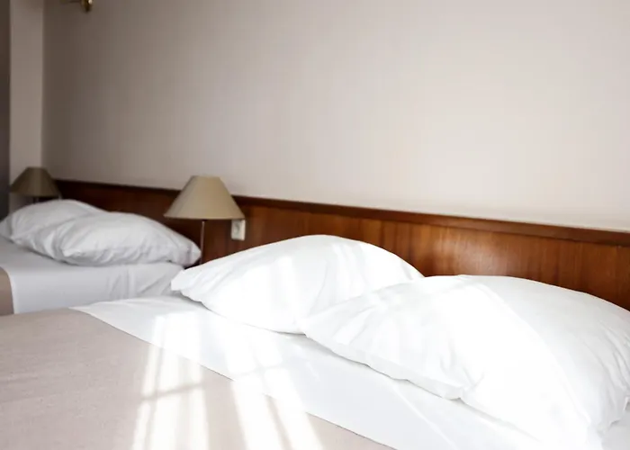 河滨艺术中心酒店 雷米希